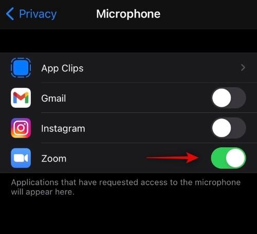 Como forçar o uso do microfone para interromper o zoom após o término da reunião