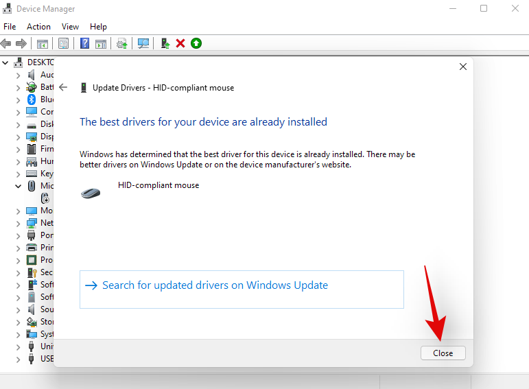 Windows 11'de Sürücüleri Güncellemenin 6 Yolu