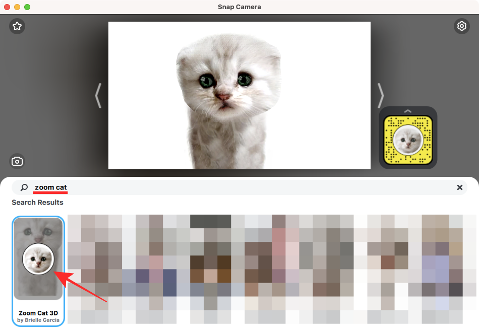 Zoom Cat Filter : comment l'obtenir, l'activer et l'éteindre