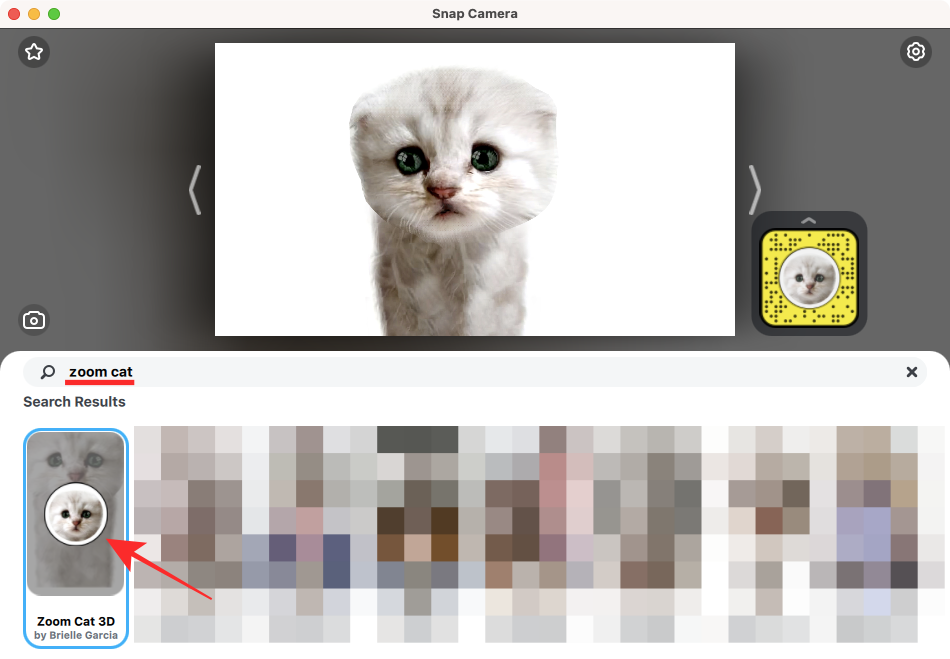 ตัวกรอง Zoom Cat: วิธีรับ เปิดและปิด