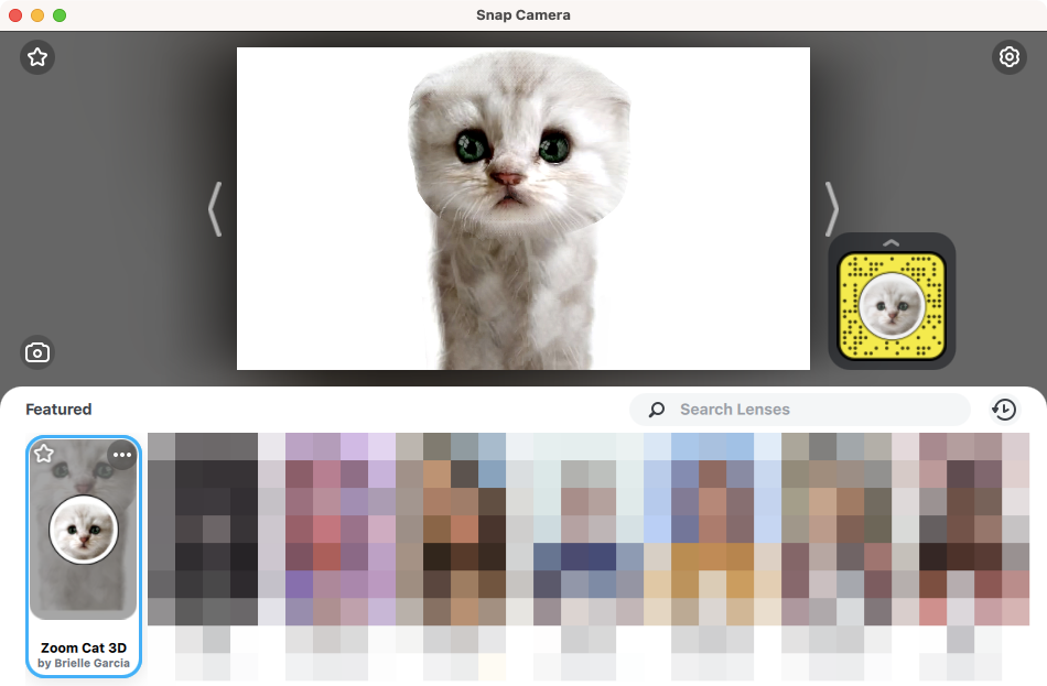 Filtro Cat Zoom: Como obtê-lo, ligar e desligar