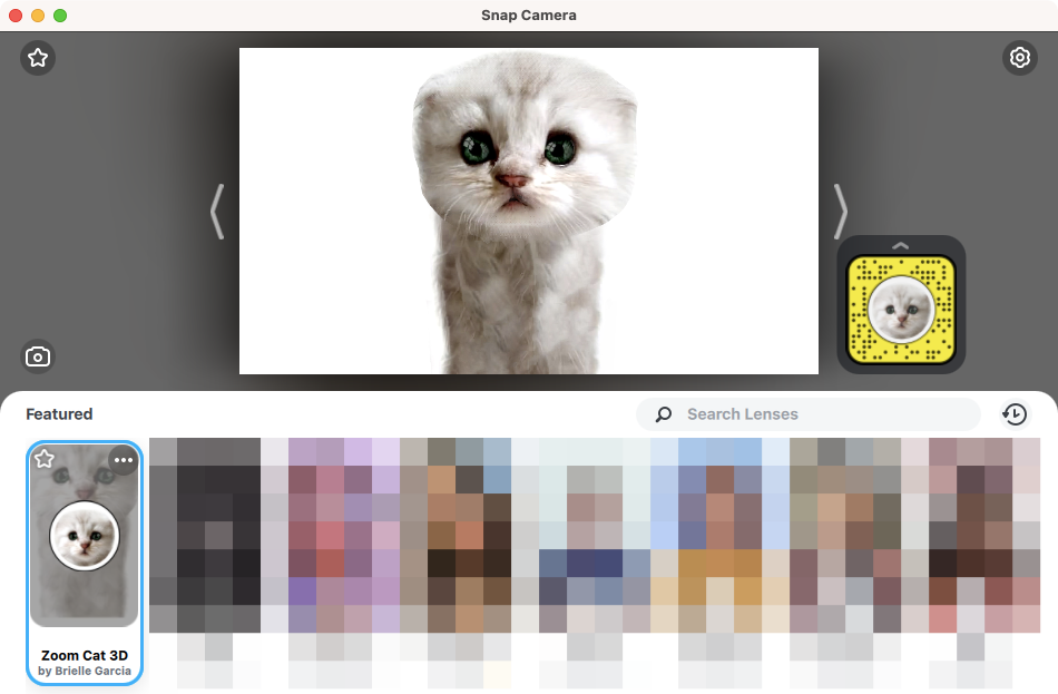 Zoom Cat Filter: cómo conseguirlo, encenderlo y apagarlo