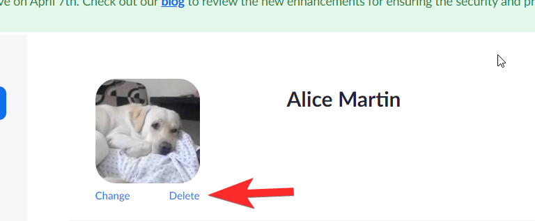 Cómo quitar la imagen de perfil de Zoom en su teléfono o PC