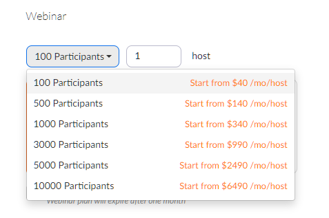 Ist das Zoom-Webinar kostenlos?  Und was ist der Mindestpreis, wenn nicht?