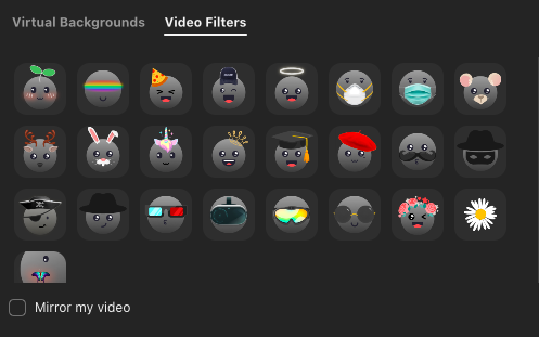 Cele mai bune filtre de zoom: cum să le obțineți și să le utilizați