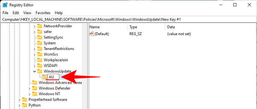 Windows11で更新を無効にする方法