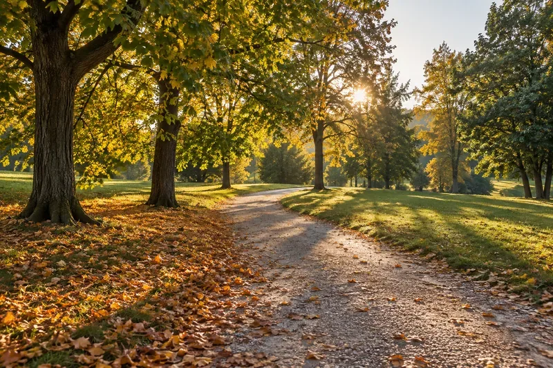 Equinozio d’autunno 2026: data, ora italiana e cosa cambia