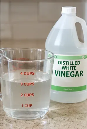 Measuring cup beside a bottle labeled distilled white vinegar on a kitchen counter