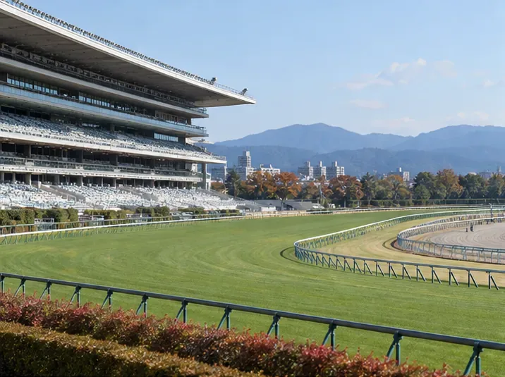 菊花賞2026の結果を確認する方法と、レース後に注目したいポイント