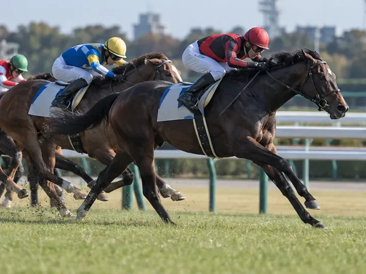 芝の直線で先頭を競う2頭の競走馬と騎手。